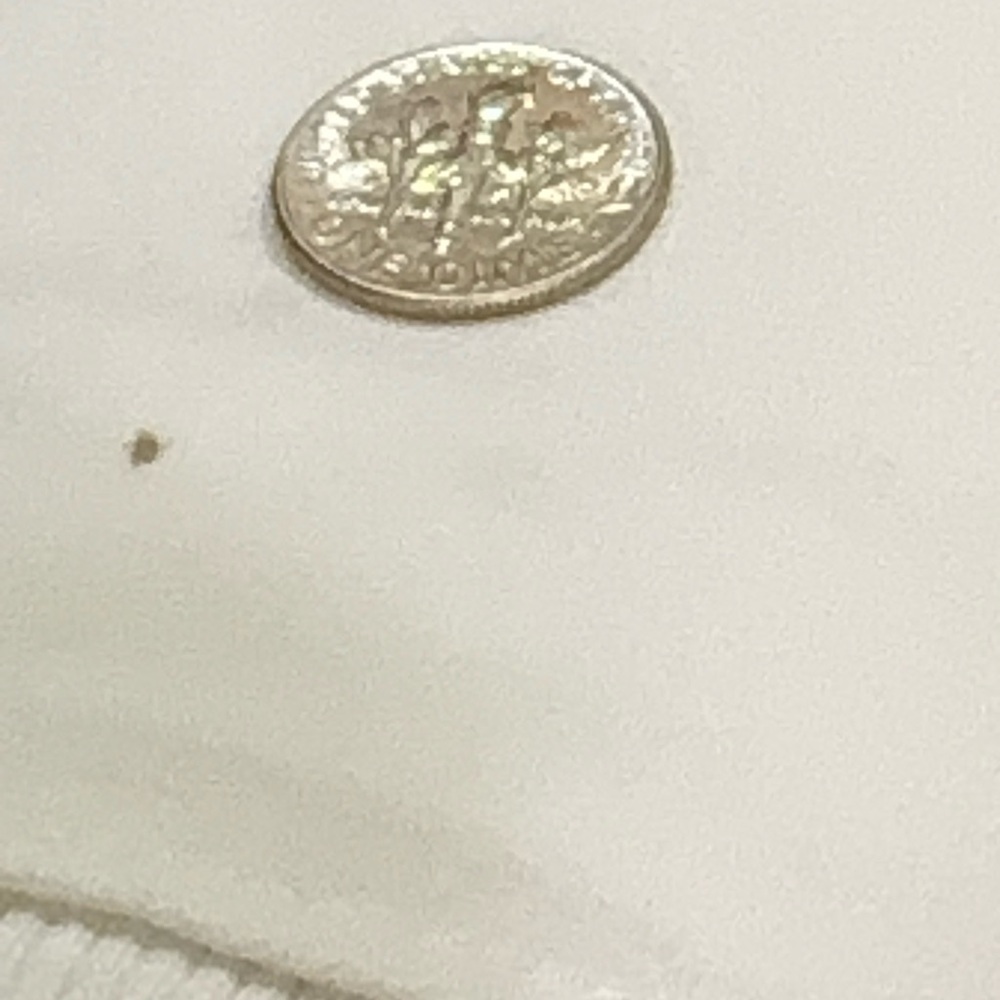 WHBM Sleeveless V-Neck Embellished Cami – Ecru Beaded Floral, Size M - Picture 14 of 14